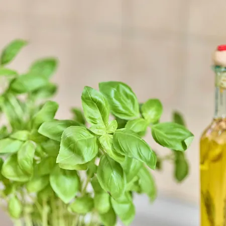 Rosalia -Zentrumsnahe Wohnung Mit Balkon & Parkplatz, Ideal Fuer Familien & Geschaeftsreisende Apartamento *