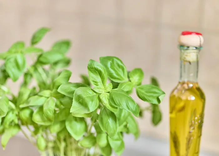 Rosalia -Zentrumsnahe Wohnung Mit Balkon & Parkplatz, Ideal Fuer Familien & Geschaeftsreisende شقة *